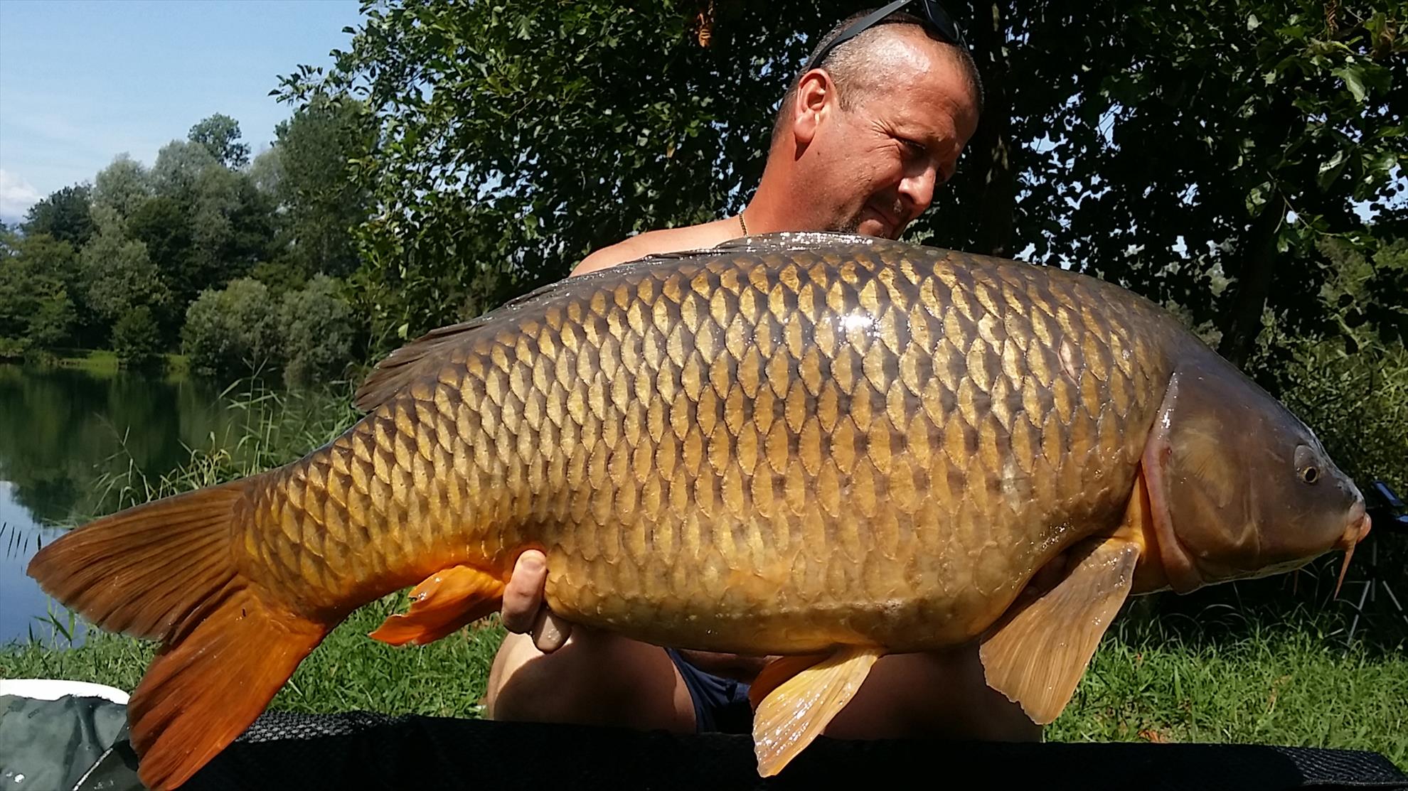 Lago Boschetto 14 - 20 august 2017 - 20170820125949.jpg